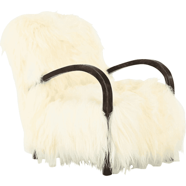 Une image contenant fourrure, intérieurDescription générée automatiquement