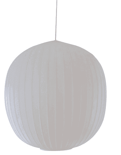 Suspension-Alois-Ferdinand-GANGKOFNER